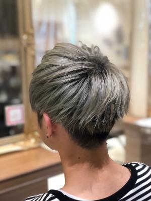 Ash中山店 堀口翼 ハイトーンシルバーマッシュ Ash中山店 堀口翼 ハイトーンシルバーマッシュのイメージ画像