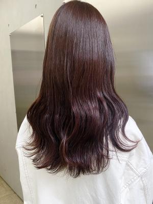 PINKVIOLETイルミナカラー