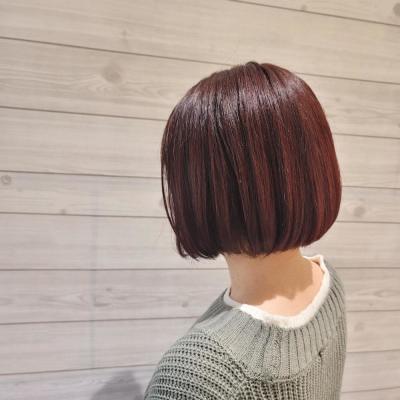 ミニボブ