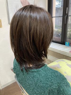 春ミディアム