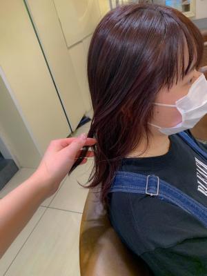 インナカラー　イヤリングカラー　ラベンダー
