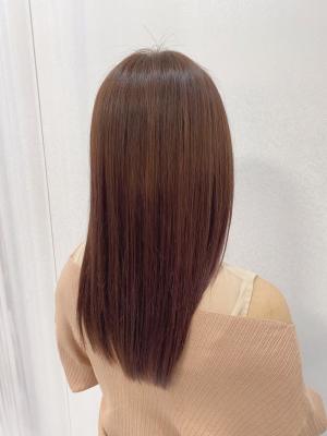 この春一押しラベンダーピンク【クスダ】