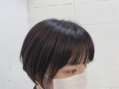 ワイドバング×ダークレッドカラー