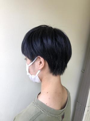 ブルーブラック×ハンサムショート