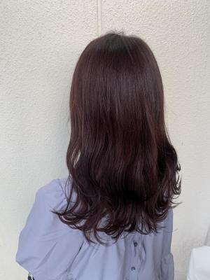 ＊韓国風艶髪 髪質改善 ダークラベンダー 20代30代のイメージ画像