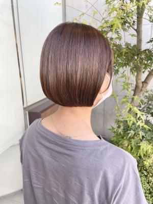 艶々ミニボブ