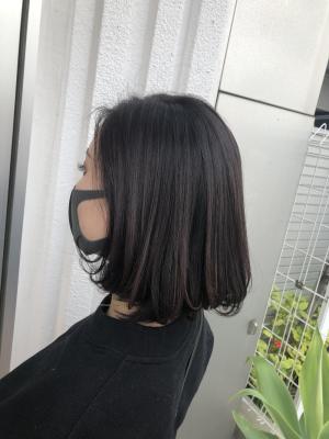 ＊バイオレットアッシュ＊