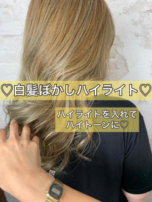 白髪ぼかしハイライト20代30代40代￥15400