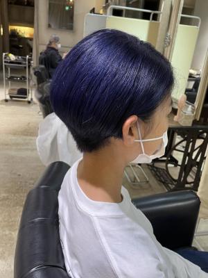 ブルーラベンダー
