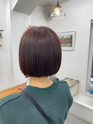 ミニボブ
