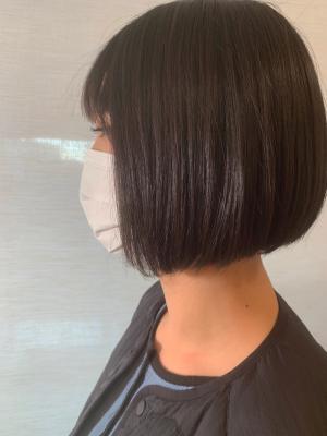 キュートボブ キュートボブのイメージ画像