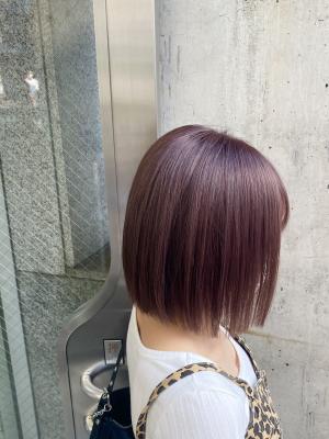 ピンクラベンダー