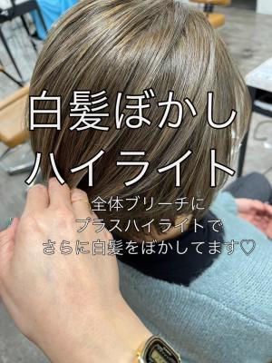 白髪ぼかしハイライト20代30代40代￥15400