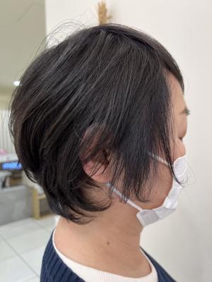 白髪ぼかしハイライト