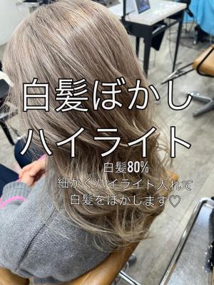 白髪ぼかしハイライト20代30代40代￥15400