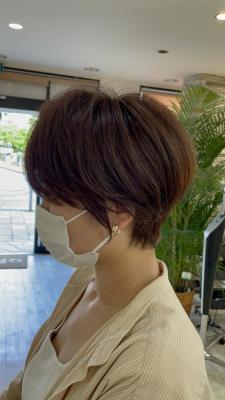 マッシュショート