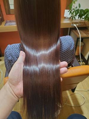 美髪エステコース「松」のイメージ画像