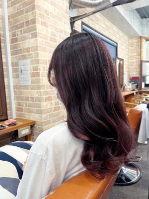 ピンクラベンダー♪