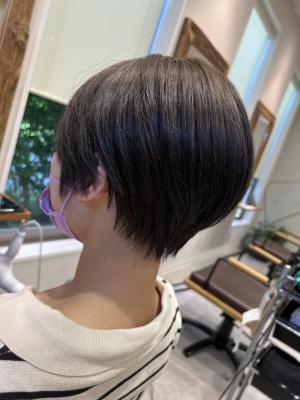 スッキリショート