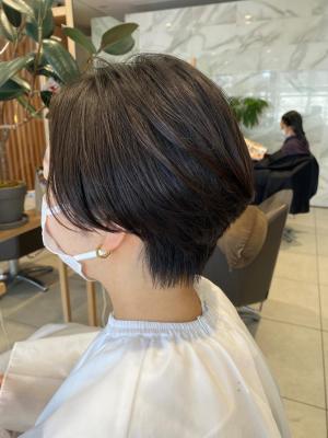 センターパート（マッシュ）