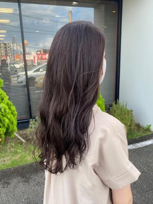 ラベンダーアッシュ