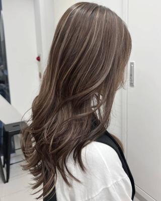 ハイライト