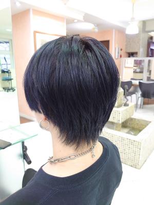 ブルーブラックハンサムショート