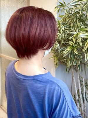 ハイトーンでピンクレッド ハイトーンでピンクレッドのイメージ画像