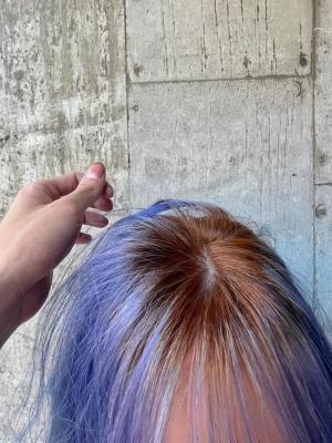 ネオンカラー　ターコイズブルー　ディープブルー　ボブウルフ