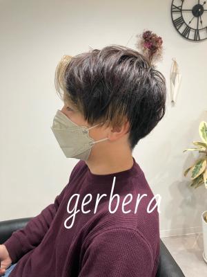 gerbera×メンズのイメージ画像