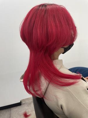 Hair Salon for D style