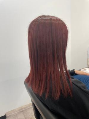 Hair Salon for D