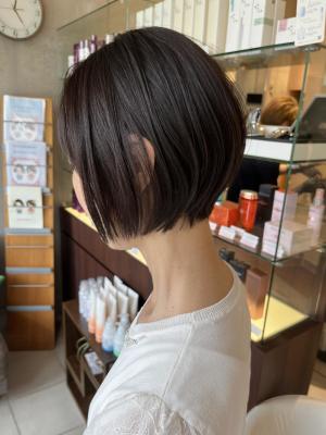 ミニボブ