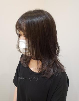 シルバーグレイジュ