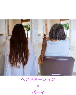 Hair donation×permanent wave