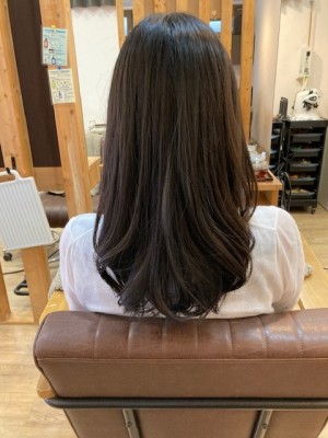 お客様髪質改善データ(夏のレイヤースタイル)