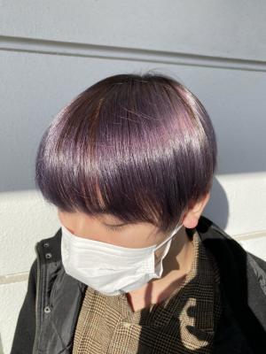 【 pignon 】blueberry color
