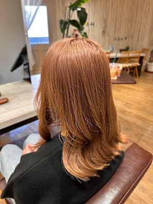 BeginningS×ロング