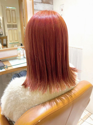 【Neolivekuta】アプリコットカラー【町田】