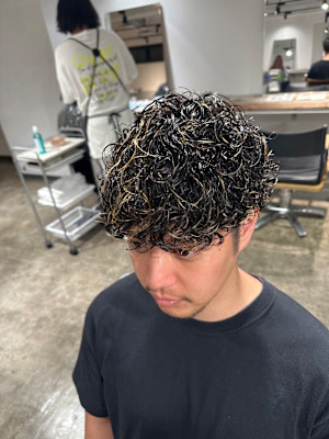 プードルパーマ