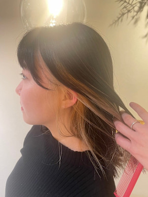 インナーカラー＊ベージュ