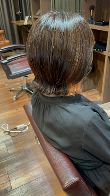 ウルフ×イヤリングカラー