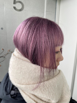 紫/ラベンダー/バイオレット/ダブルカラー/ハイトーン