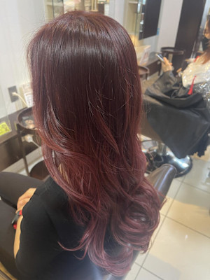 ダブルカラー・ピンクバイオレットカラー