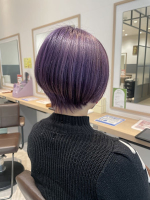 柔らかなパープルカラー