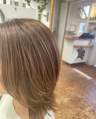 白髪ぼかしハイライト