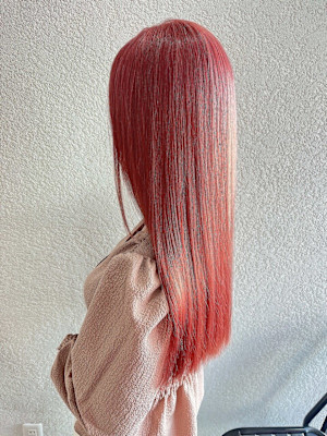 レッドカラーレッドオレンジ成増地下鉄成増大山