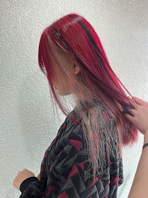 レッドカラーメッシュカラー成増地下鉄成増大山