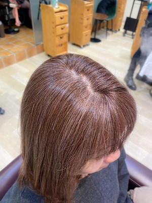 姫カットカールセミディシアーカラー