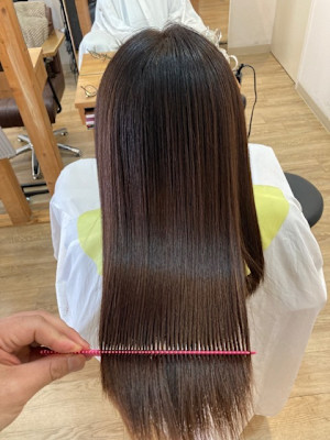 お客様髪質改善データ1291(白髪染めトナー施術)